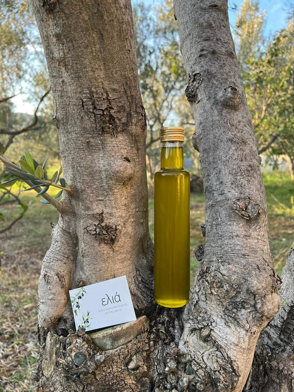 Hier haben wir das Ergebnis der Ölmühle, frisch gepresstes Olivenöl bester Qualität